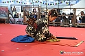VBS_8398 - Festival dell'Oriente 2023